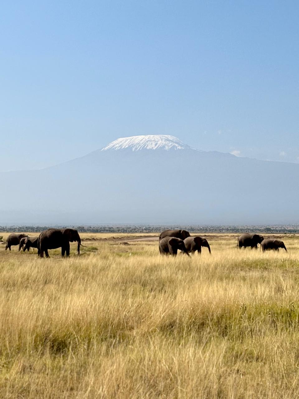 Tsavo West & Amboseli Kilimanjaro Safari