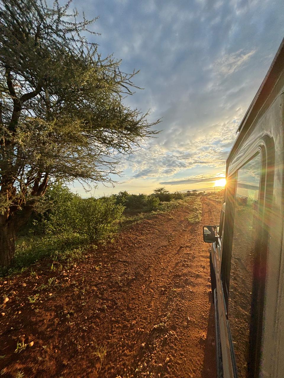 Best Time to Visit the Kenyan Coast: A Season-by-Season Guide